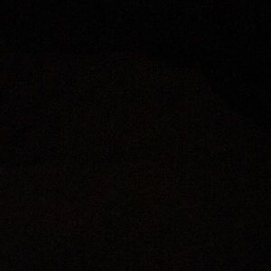 Meet your Posher, Ella